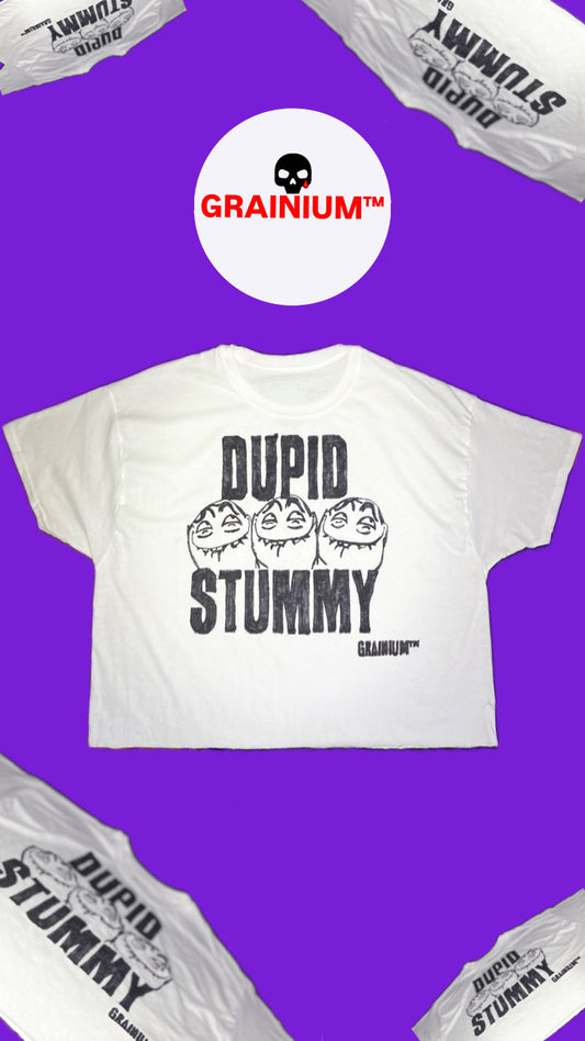 GRAINIUM™ “DUPID STUMMY” Oversized Box Crop Graphic T – Hand Dra